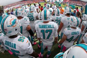 Dolphins are a year away from even thinking Super Bowl - Bet the Super Bowl OnlineBet the Super